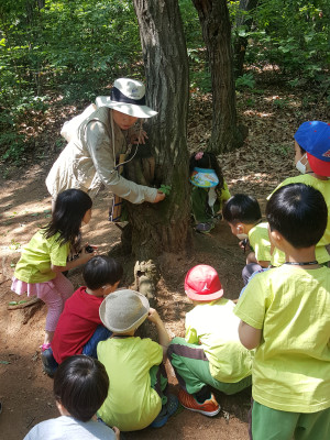 숲 체험활동 이미지